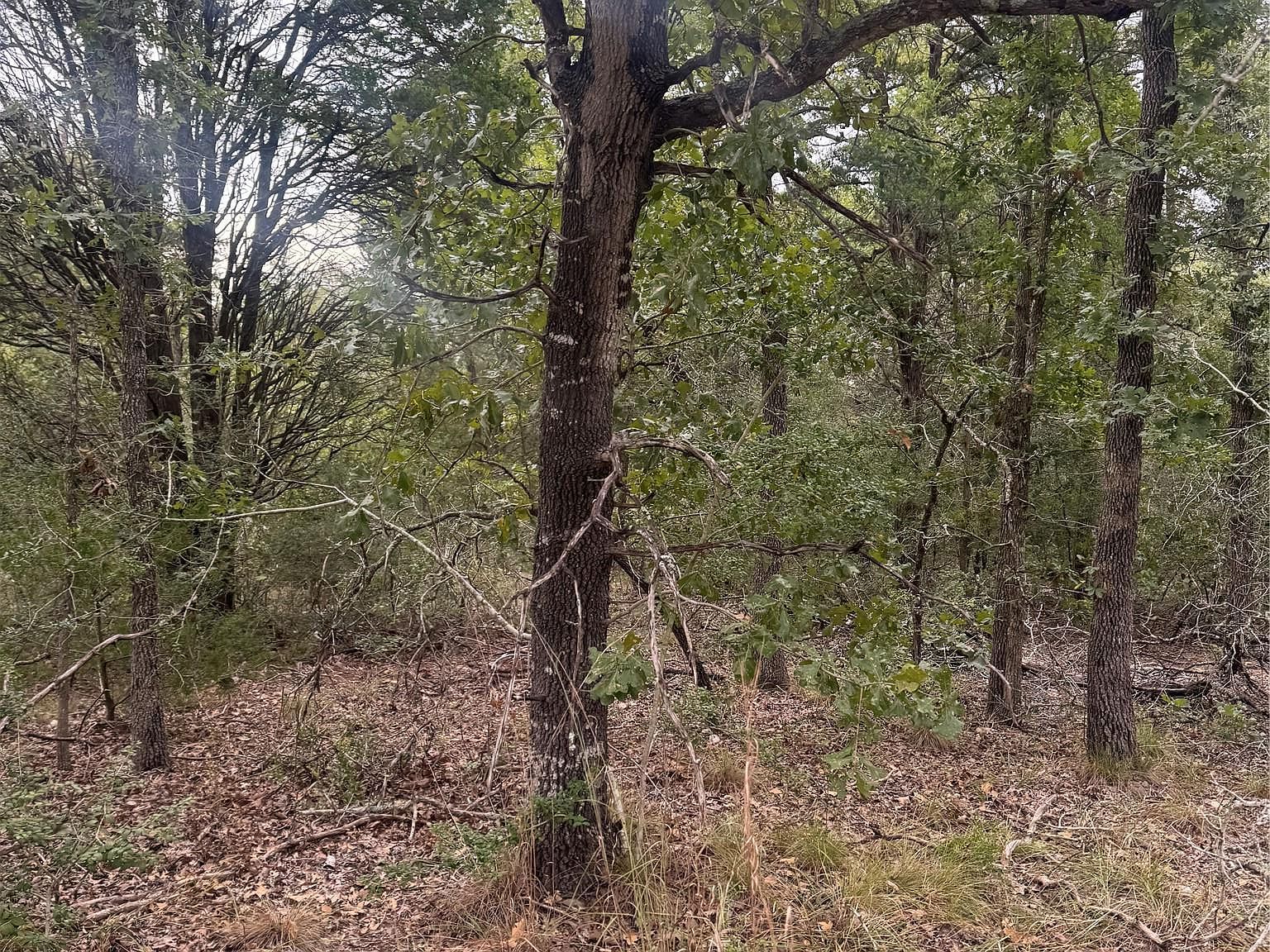 6 Spruce St Paige, TX 78659 - Thumbnail 5