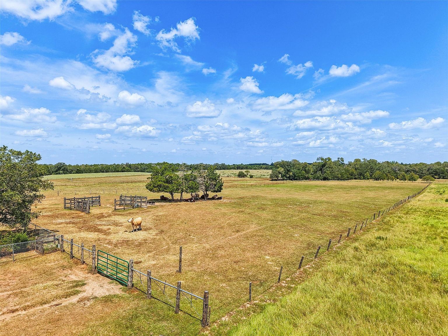 372 Hofferek Rd Rosanky, TX 78953 - Thumbnail 5