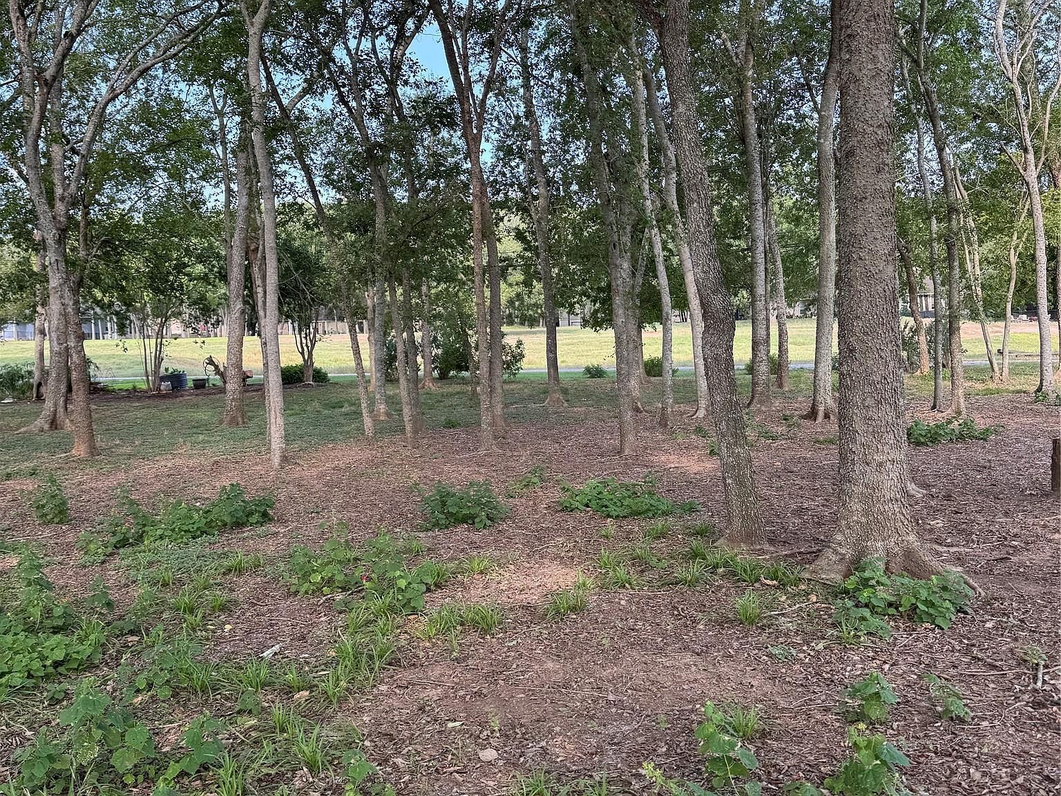 736 E Riverside Dr Bastrop, TX 78602 - Thumbnail 5