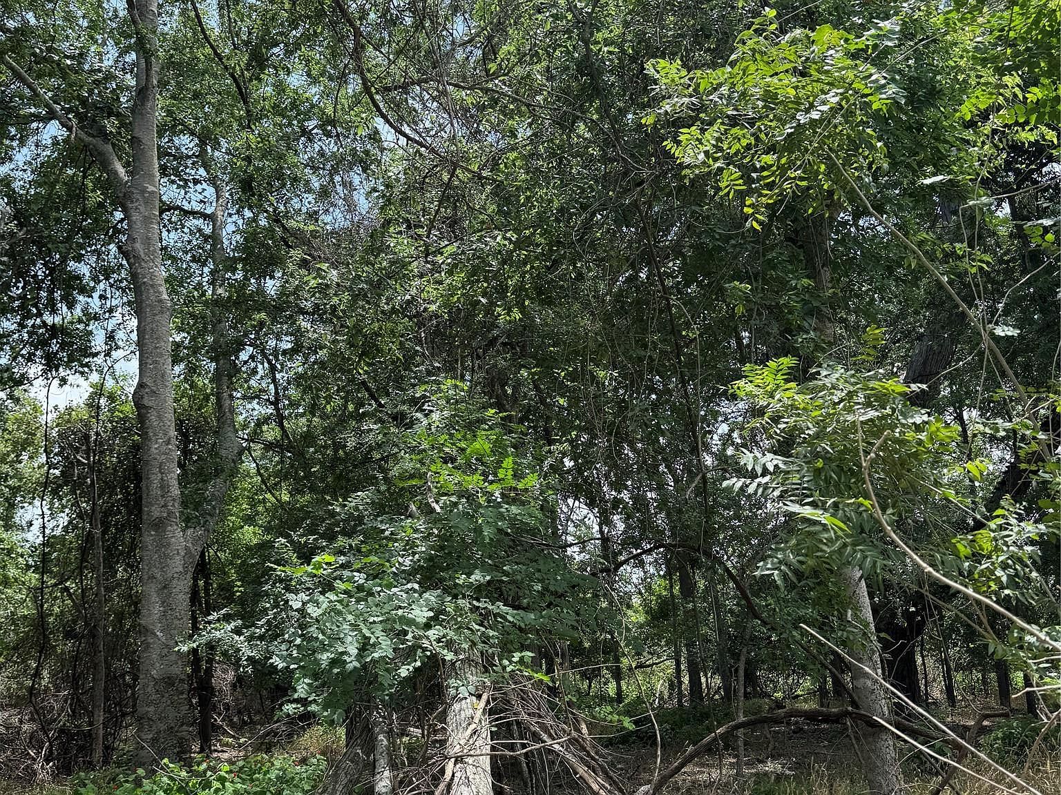 LOT 904 Kahana Ln Bastrop, TX 78602 - Thumbnail 5