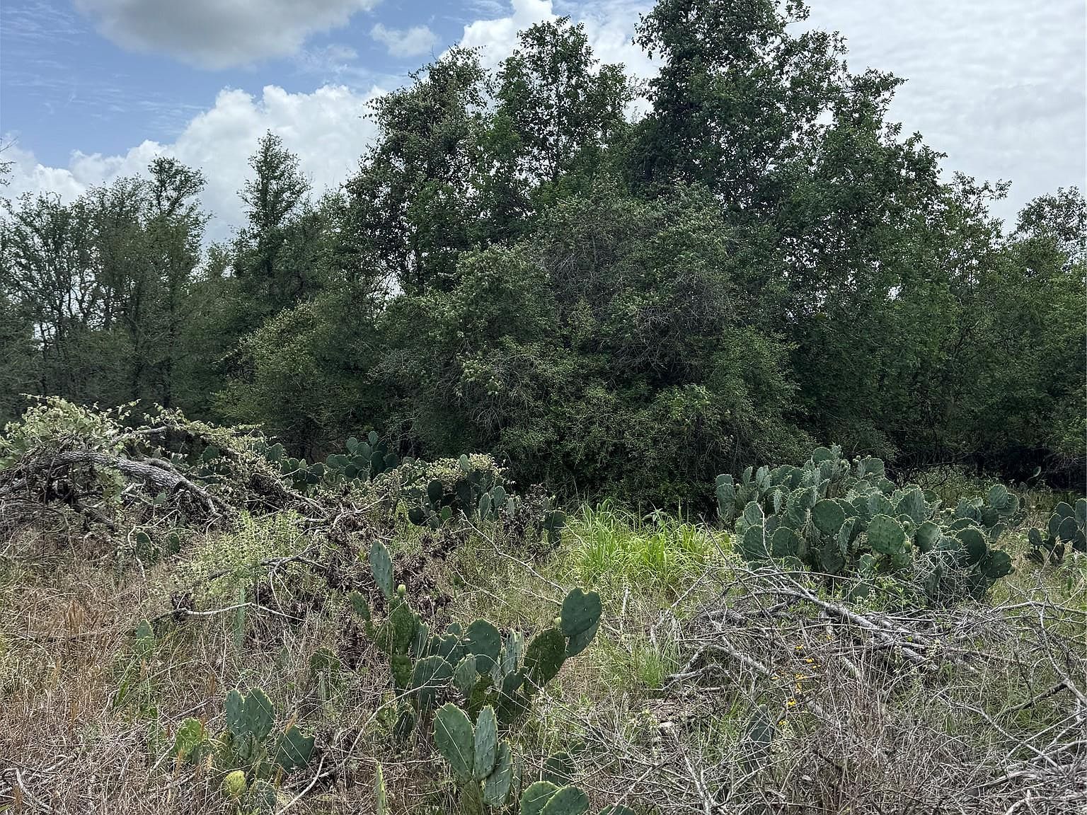 LOT 687 Kawainui Ln Bastrop, TX 78602 - Thumbnail 5