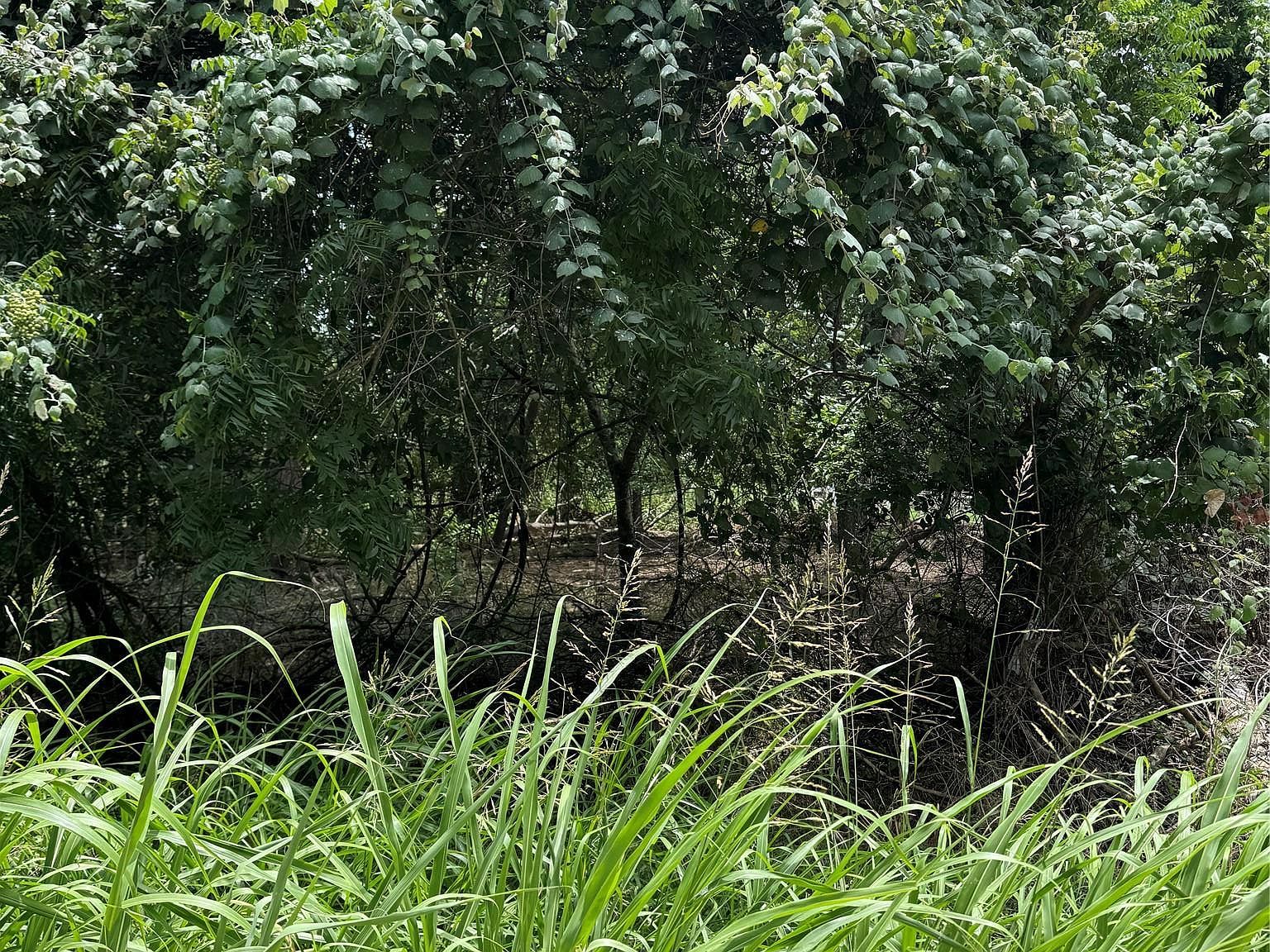 LOT 902 Kahana Ln Bastrop, TX 78602 - Thumbnail 5