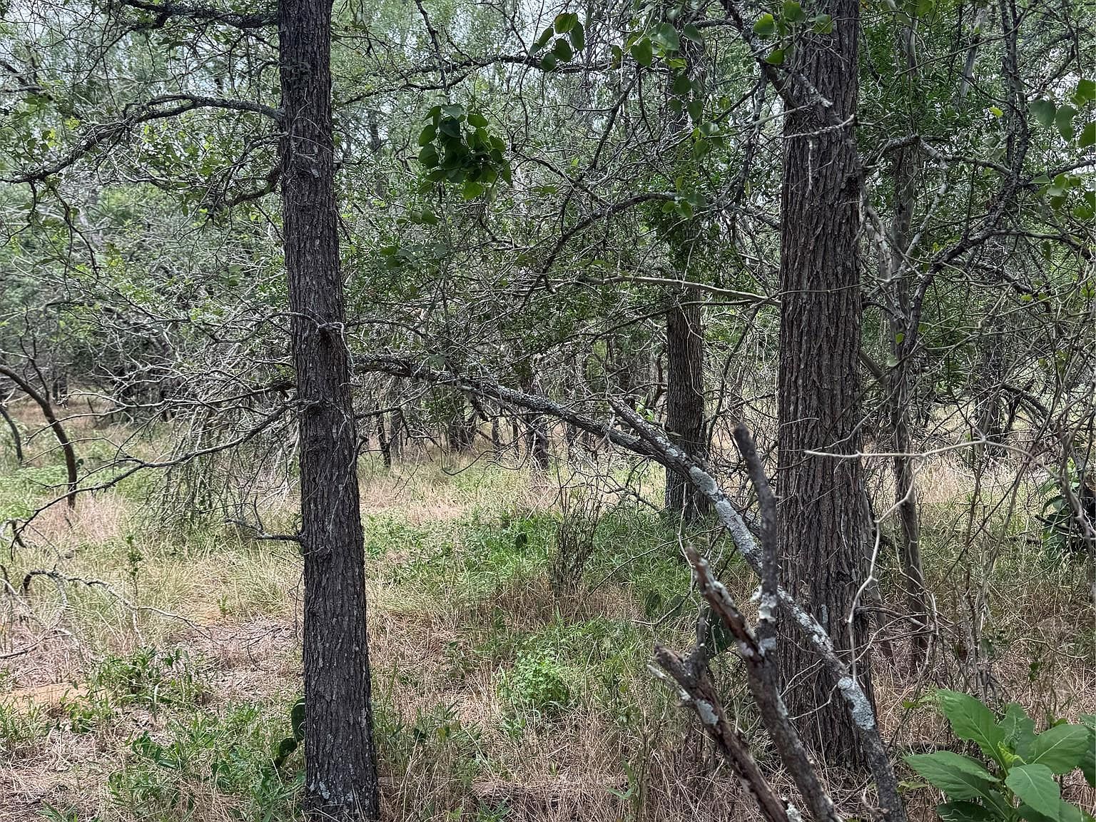 LOT 686 Kawainui Ln Bastrop, TX 78602 - Thumbnail 5