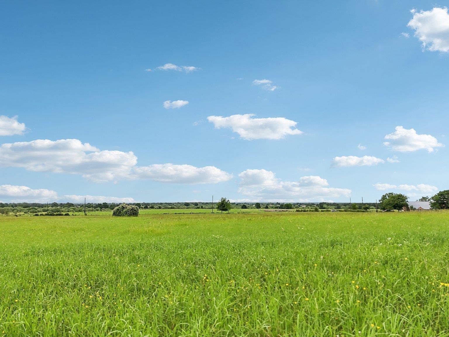 170 Zack Ln Giddings, TX 78942 - Thumbnail 5