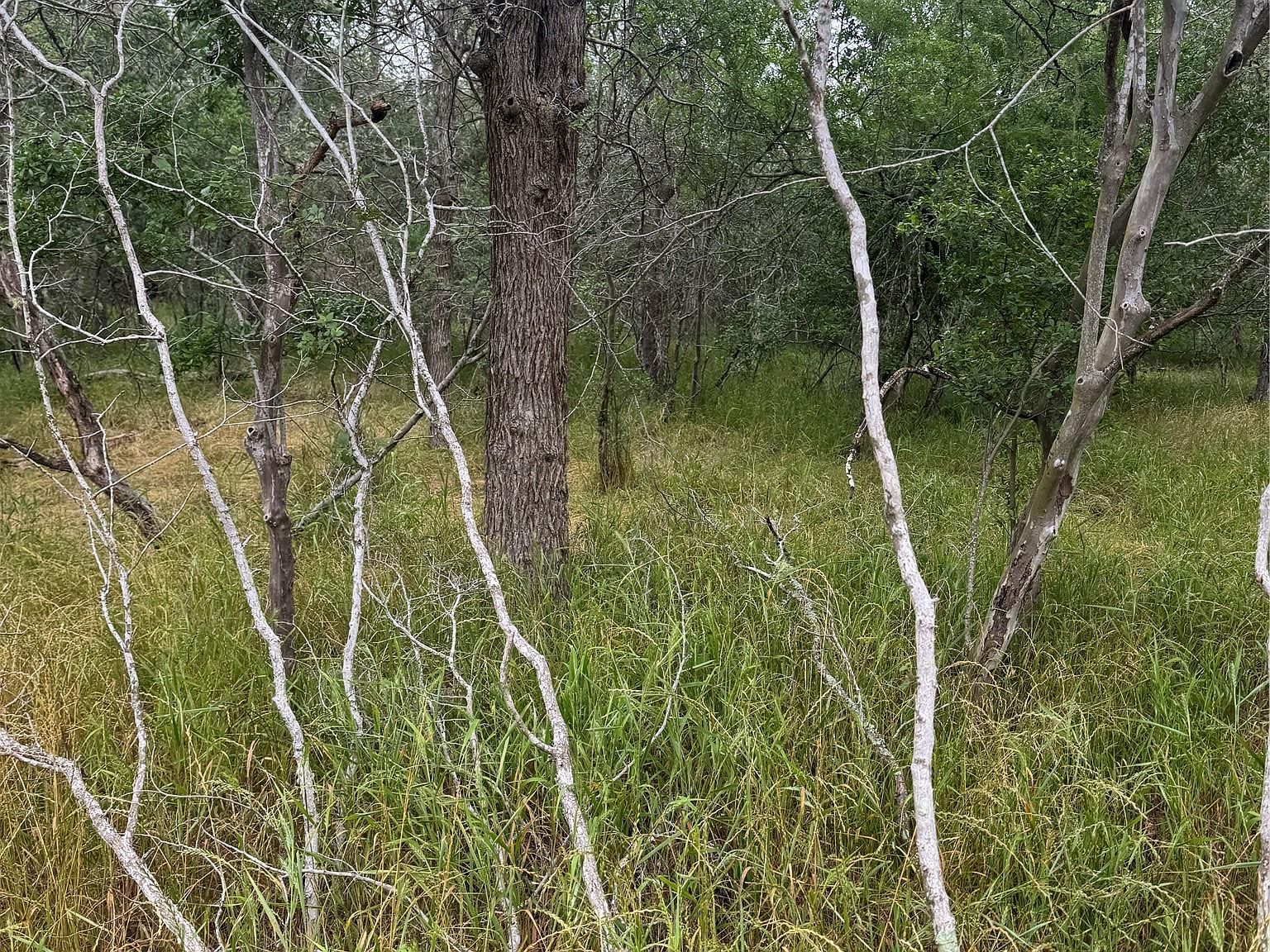 109 Hauula Ct Bastrop, TX 78602 - Thumbnail 5