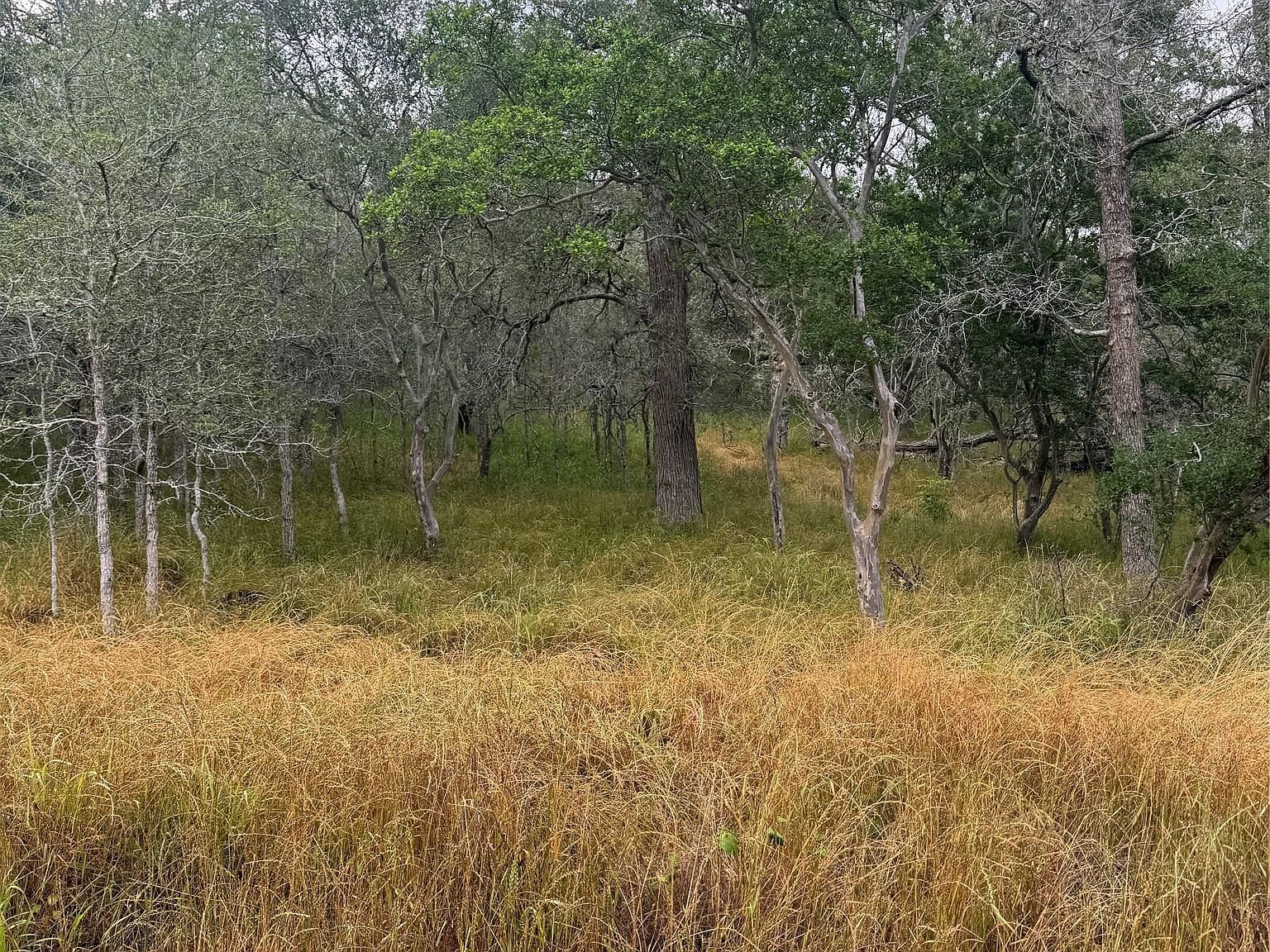 107 Hauula Ct Bastrop, TX 78602 - Thumbnail 5