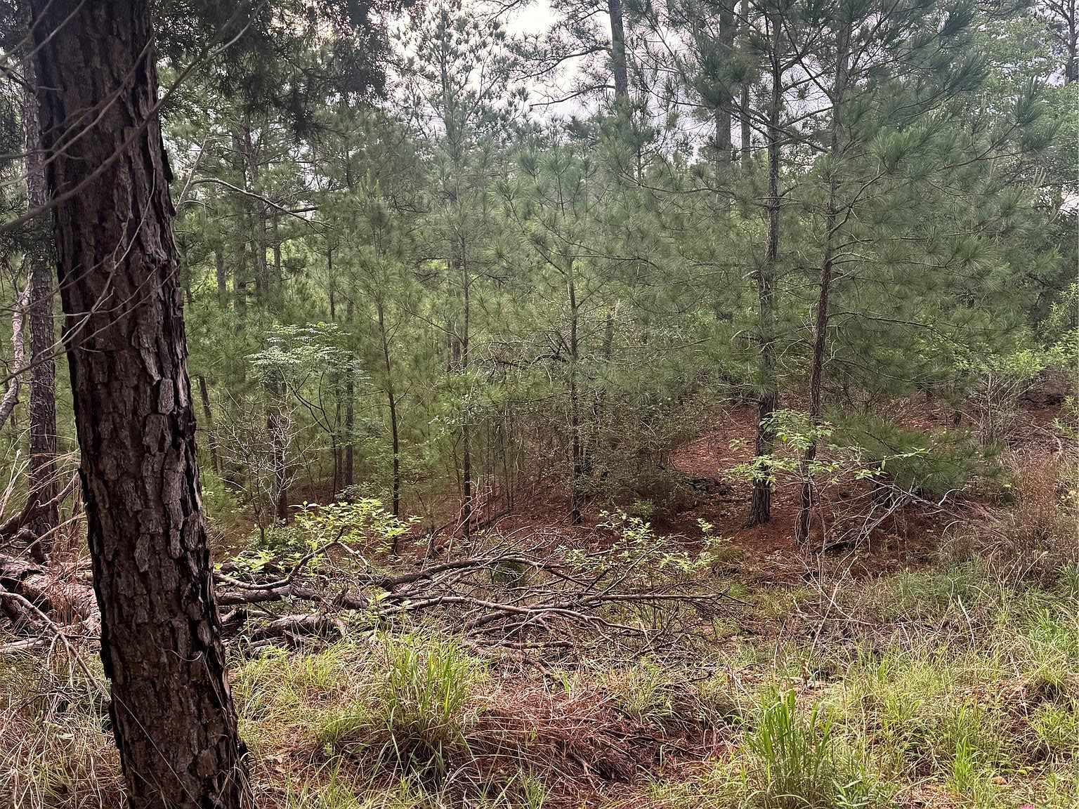 LOT 1491 Haleakala Dr Bastrop, TX 78602 - Thumbnail 5