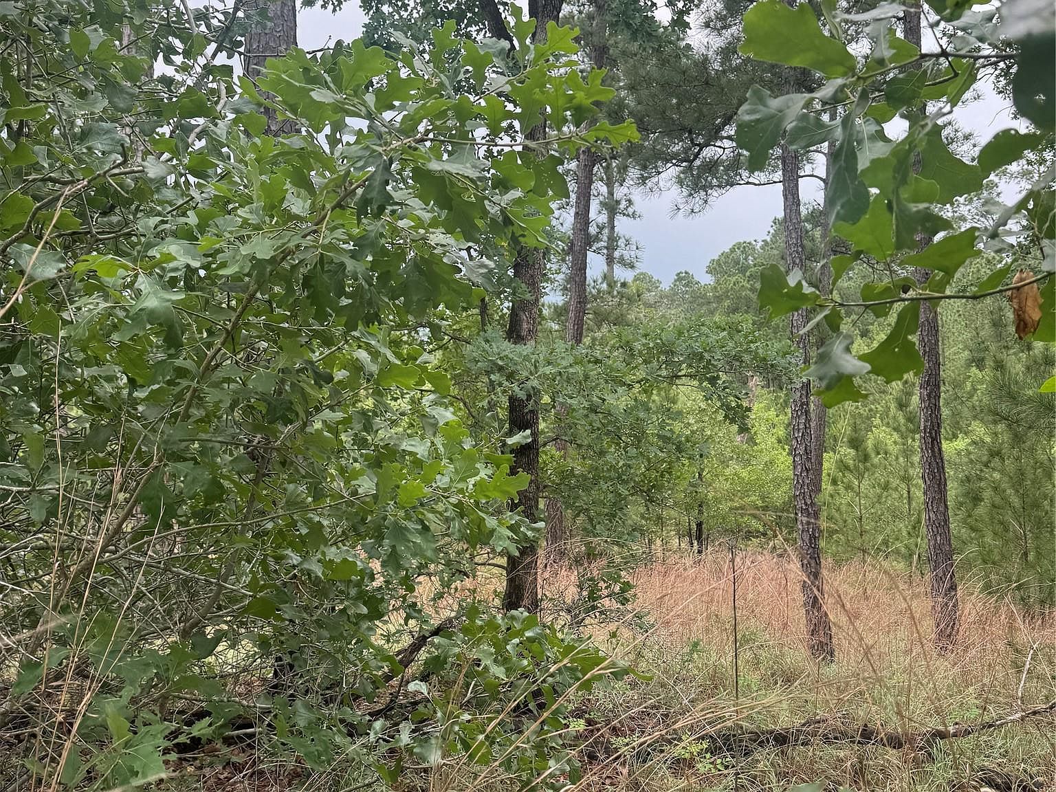 LOT 1612 Kaanapali Ln Bastrop, TX 78602 - Thumbnail 5