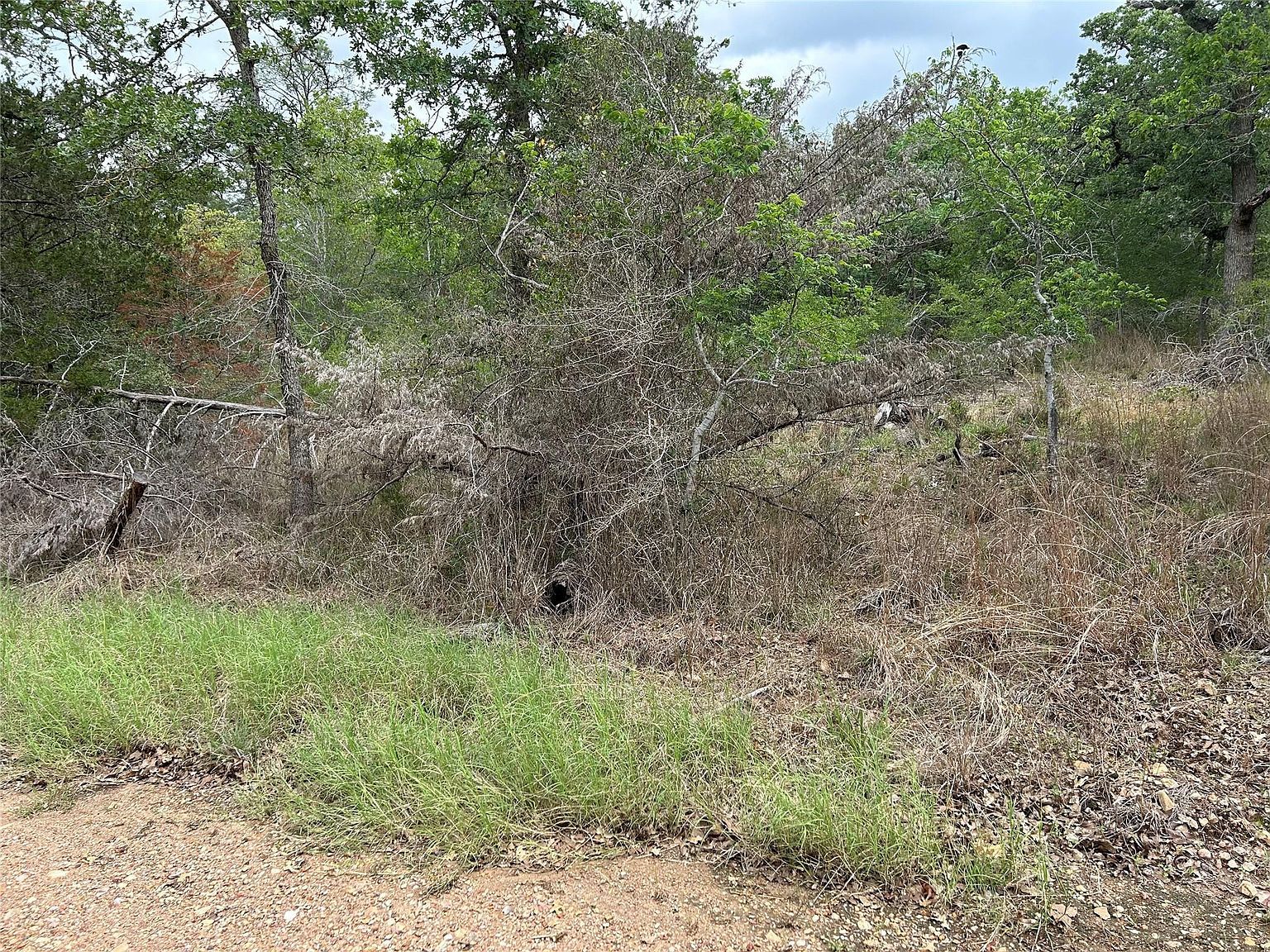 LOT 54 Rick Rd La Grange, TX 78945 - Thumbnail 5