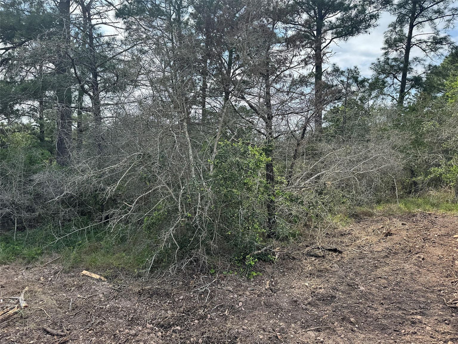 Lots 1263 1264 1265 Hanauma Dr Bastrop, TX 78602 - Thumbnail 5