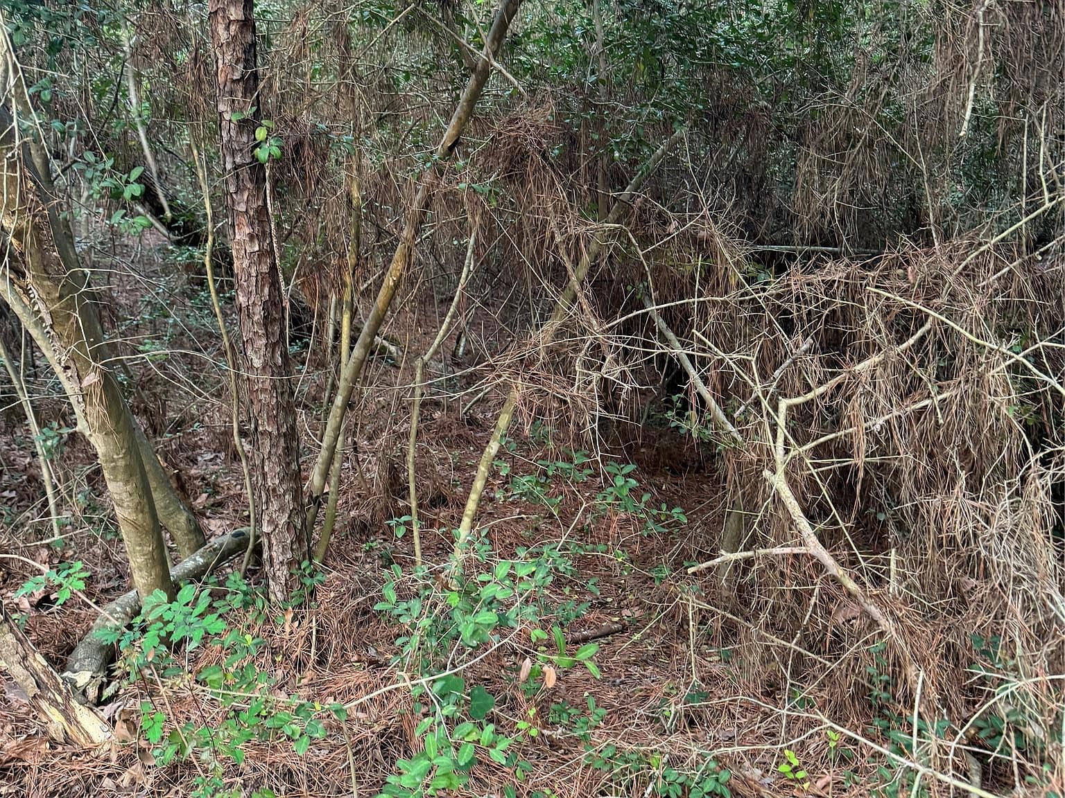 Lots 158 And 159 Hekili Dr Bastrop, TX 78602 - Thumbnail 5