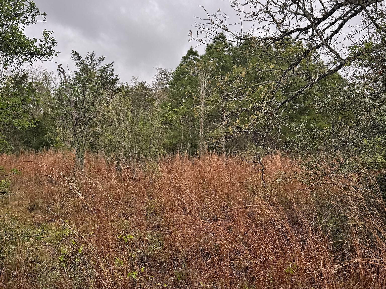 118 Laguna Smithville, TX 78957 - Thumbnail 5