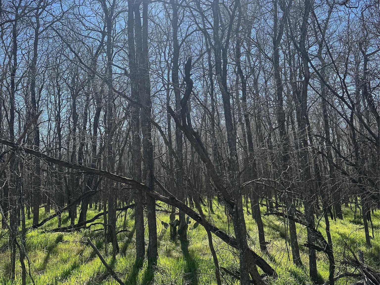 289 Iva Ln Bastrop, TX 78602 - Thumbnail 5