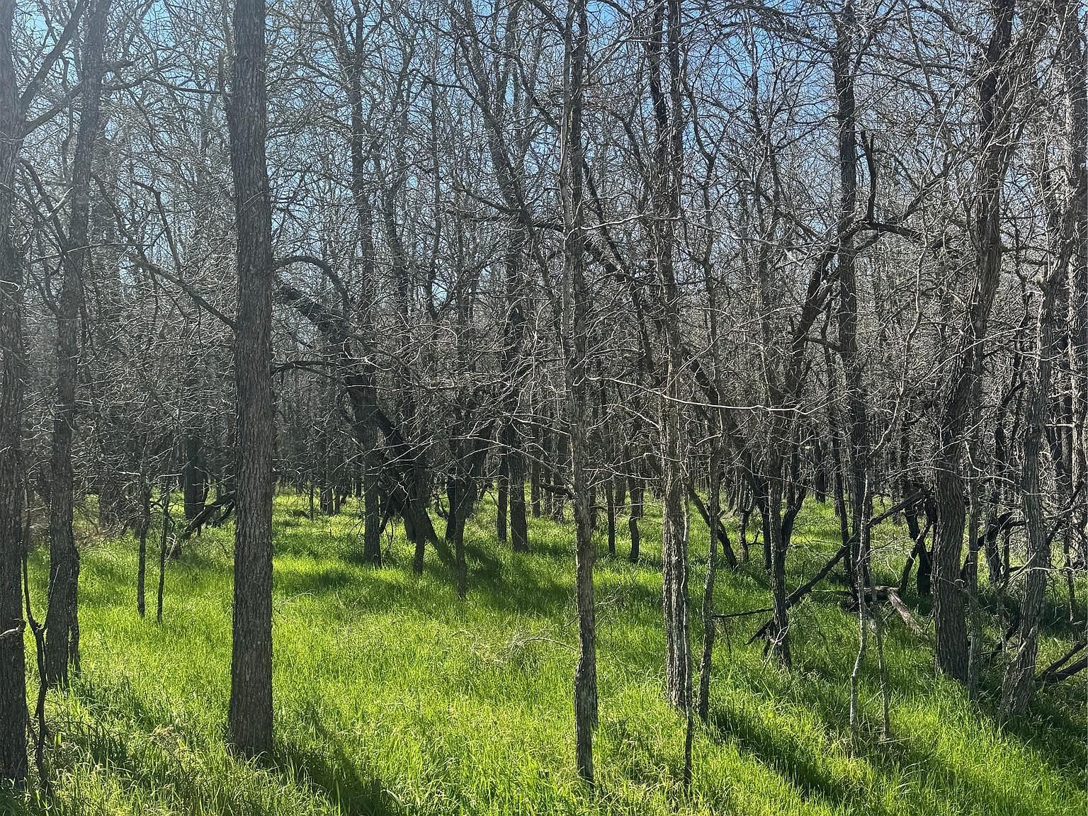 LOT 500 Kaaawa Ln Bastrop, TX 78602 - Thumbnail 5