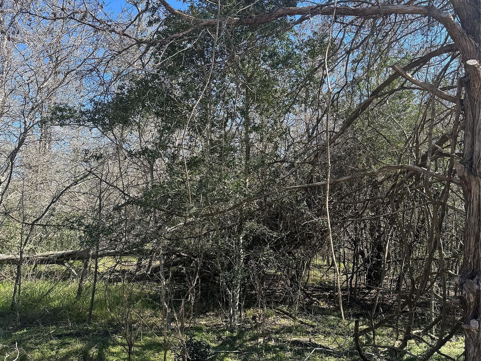 LOT 321 Kolekole Ln Bastrop, TX 78602 - Thumbnail 5