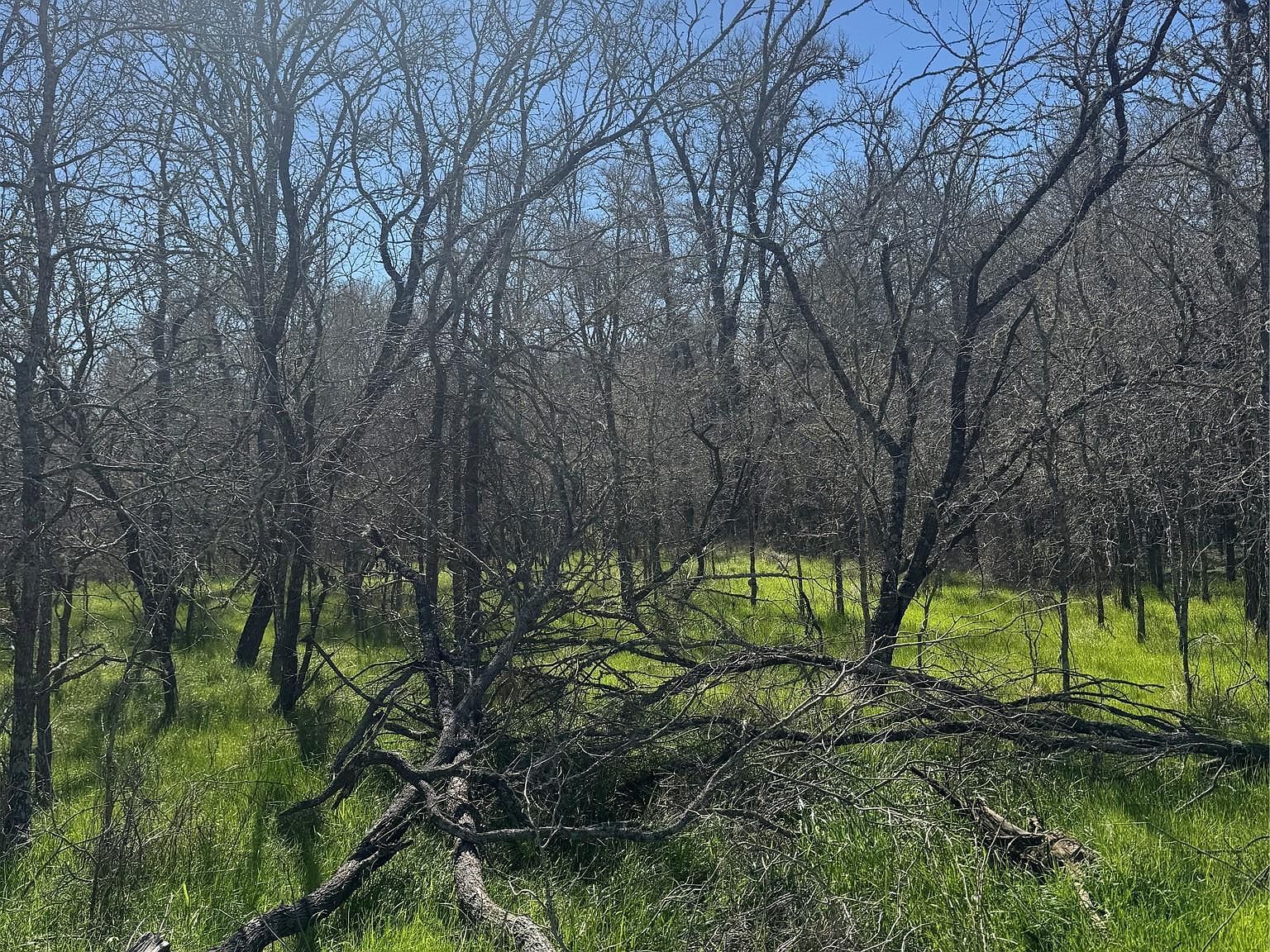 291 Kolekole Ln Bastrop, TX 78602 - Thumbnail 5