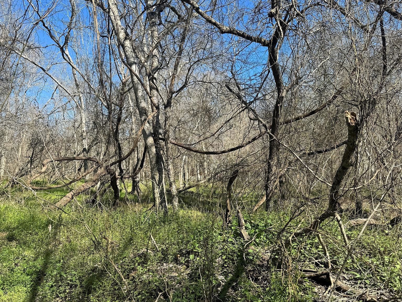 961 E Riverside Dr Bastrop, TX 78602 - Thumbnail 5