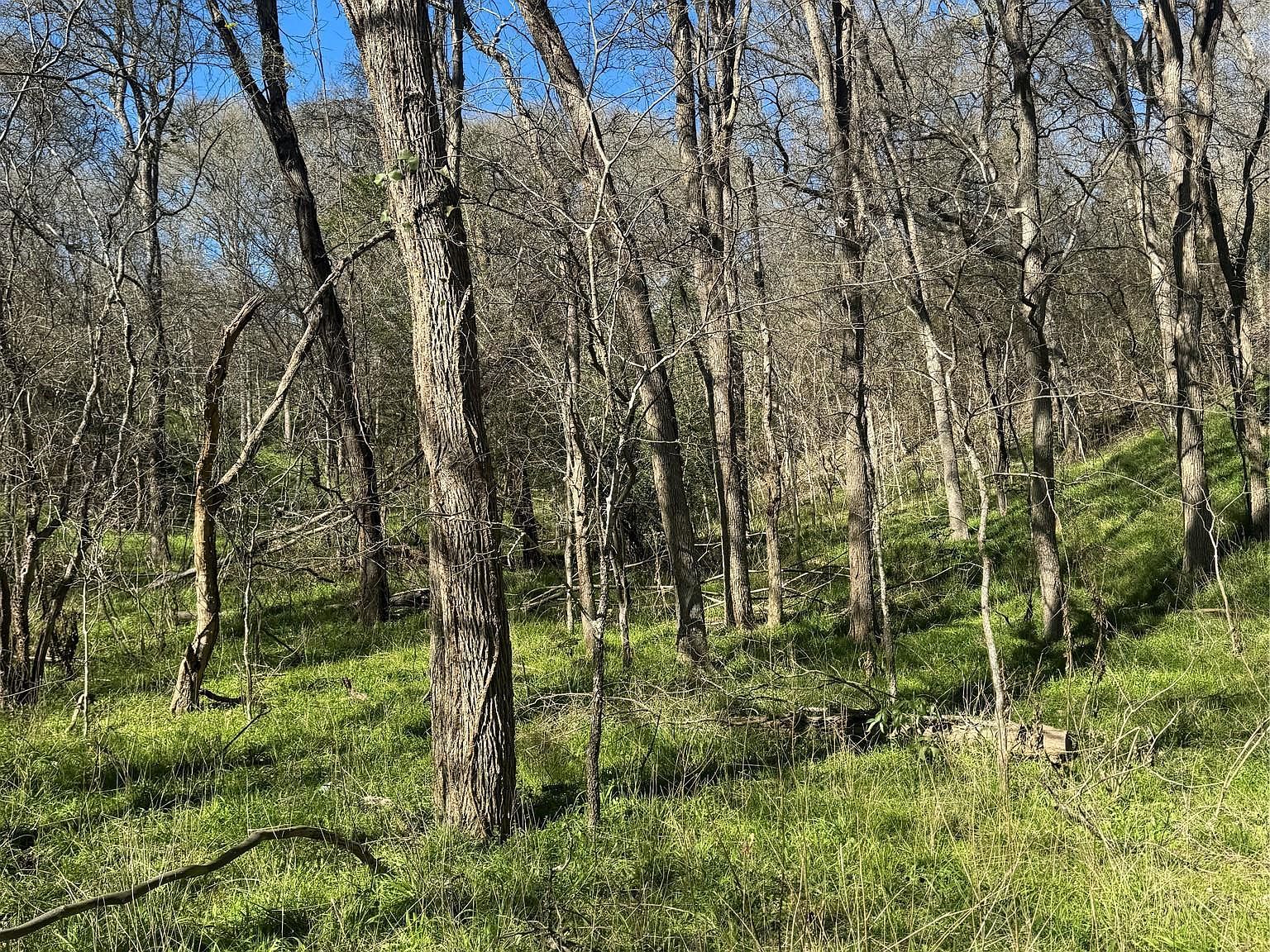 Lots 638 639 640 Kaukonahua Ln Bastrop, TX 78602 - Thumbnail 5