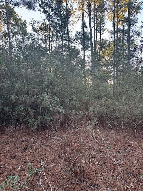 103 Lake Point Way Bastrop, TX 78602 - Thumbnail 5