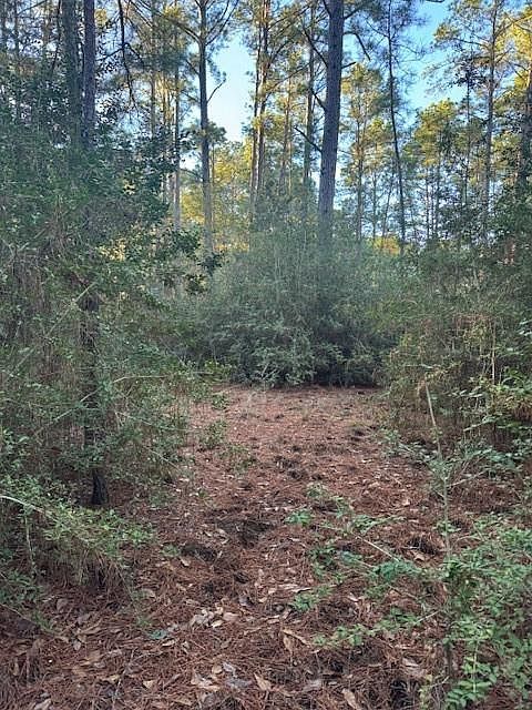 107 Lake Point Way Bastrop, TX 78602 - Thumbnail 5