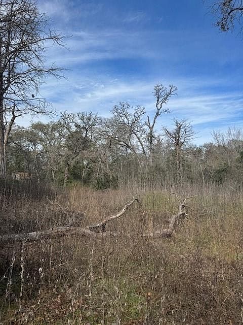 306 Travis Rd Paige, TX 78659 - Thumbnail 5