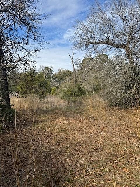 LOT 95 Travis Rd Paige, TX 78659 - Thumbnail 5