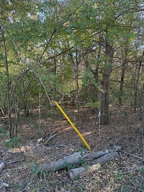 125 Helemano Dr Bastrop, TX 78602 - Thumbnail 5