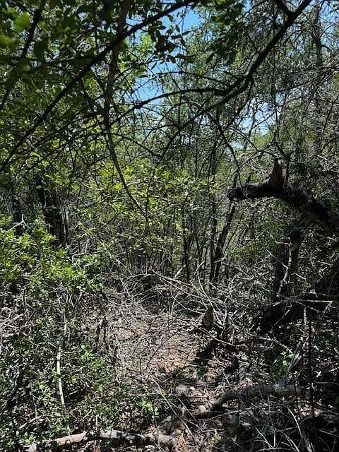 157 Lamaloa Ln Bastrop, TX 78602 - Thumbnail 5