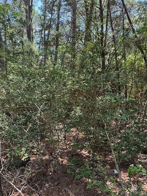 250 Hekili Dr Bastrop, TX 78602 - Thumbnail 5