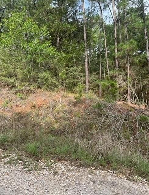 LOT 345 Wainee Dr Bastrop, TX 78602 - Thumbnail 5