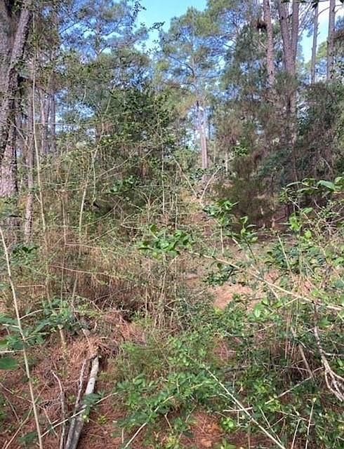 LOT 93 Papawai Dr Bastrop, TX 78602 - Thumbnail 5