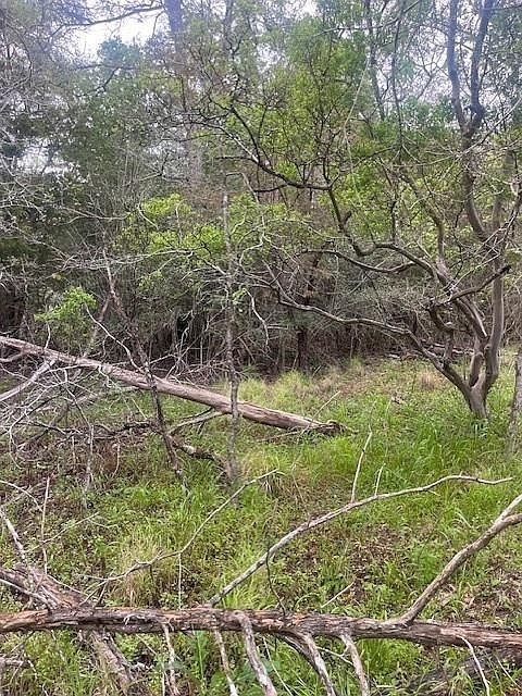 LOT 628 Hilea Ct Bastrop, TX 78602 - Thumbnail 5