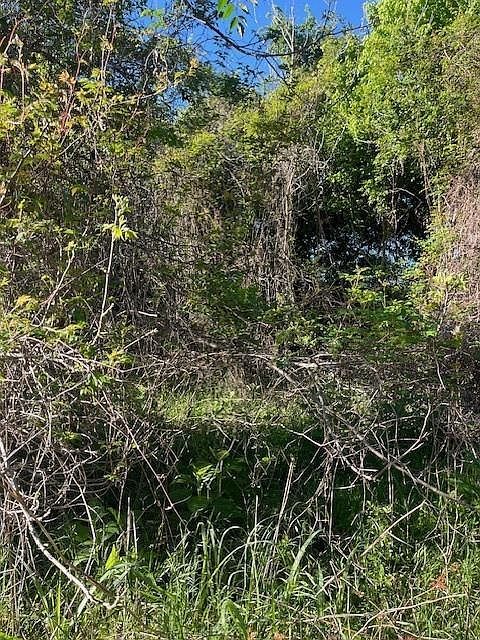 171 Kahana Ln Bastrop, TX 78602 - Thumbnail 5