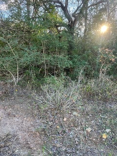 LOT 632 Hilea Ct Bastrop, TX 78602 - Thumbnail 5