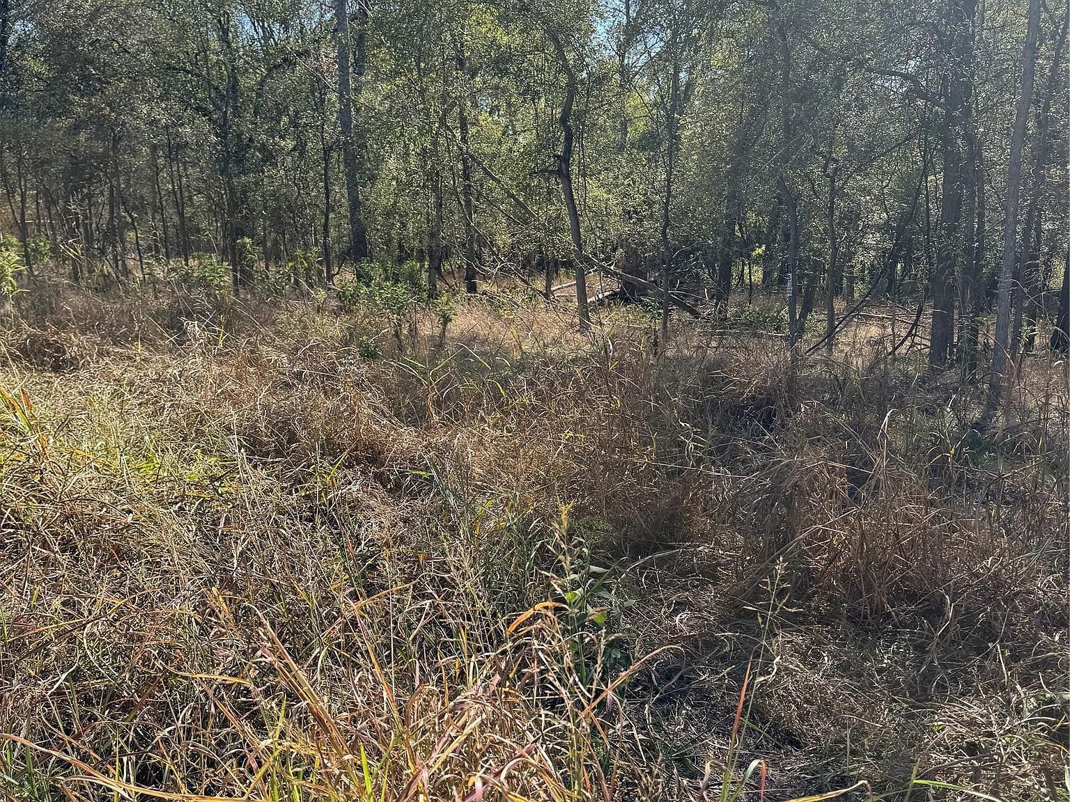 221 Kahana Ln Bastrop, TX 78602 - Thumbnail 5