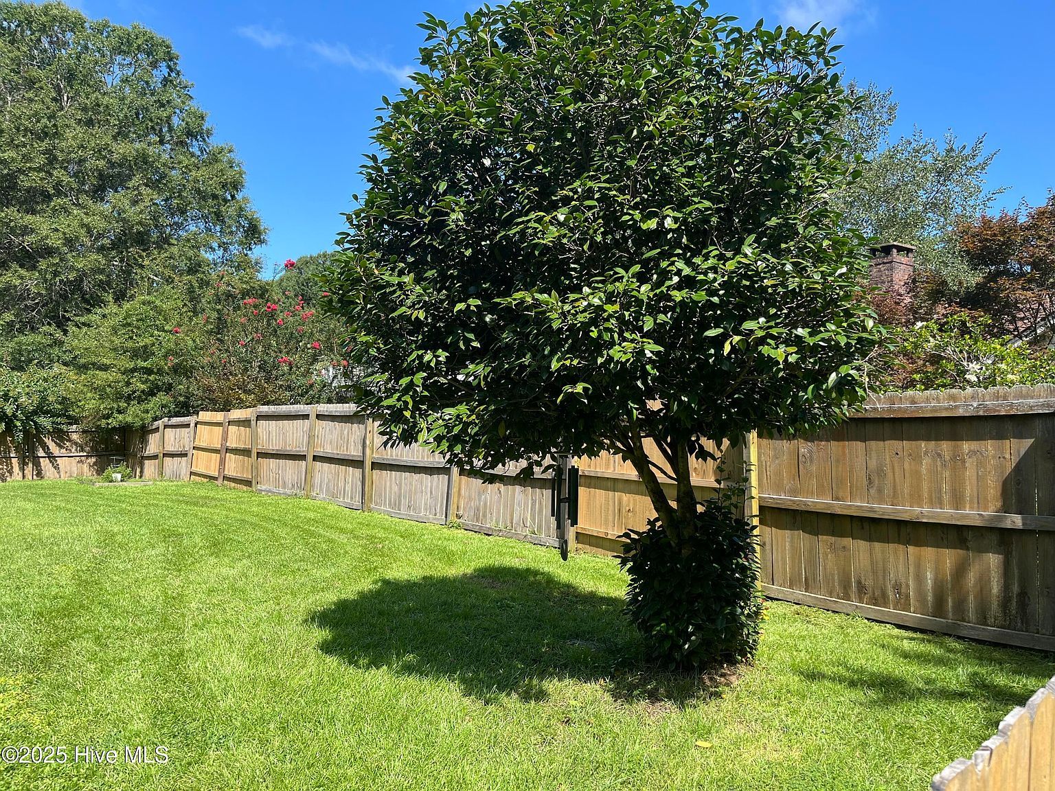 423 Edgewood Cir Whiteville, NC 28472 - Thumbnail 5