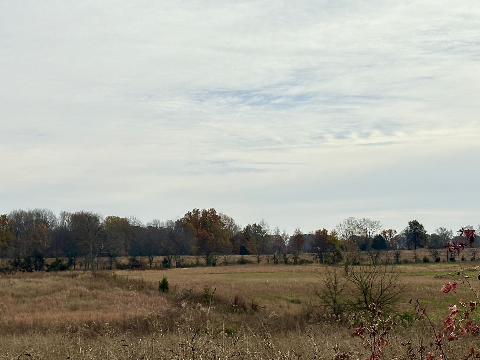 0 Halltown Rd Lot 9 Portland, TN 37148 - Thumbnail 5