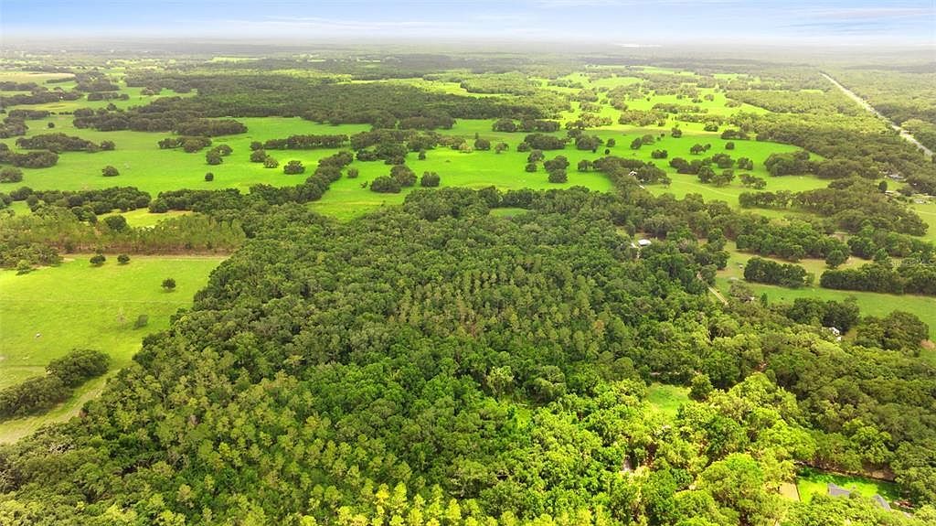 2000 SW 103rd Pl Webster, FL 33597 - Thumbnail 5