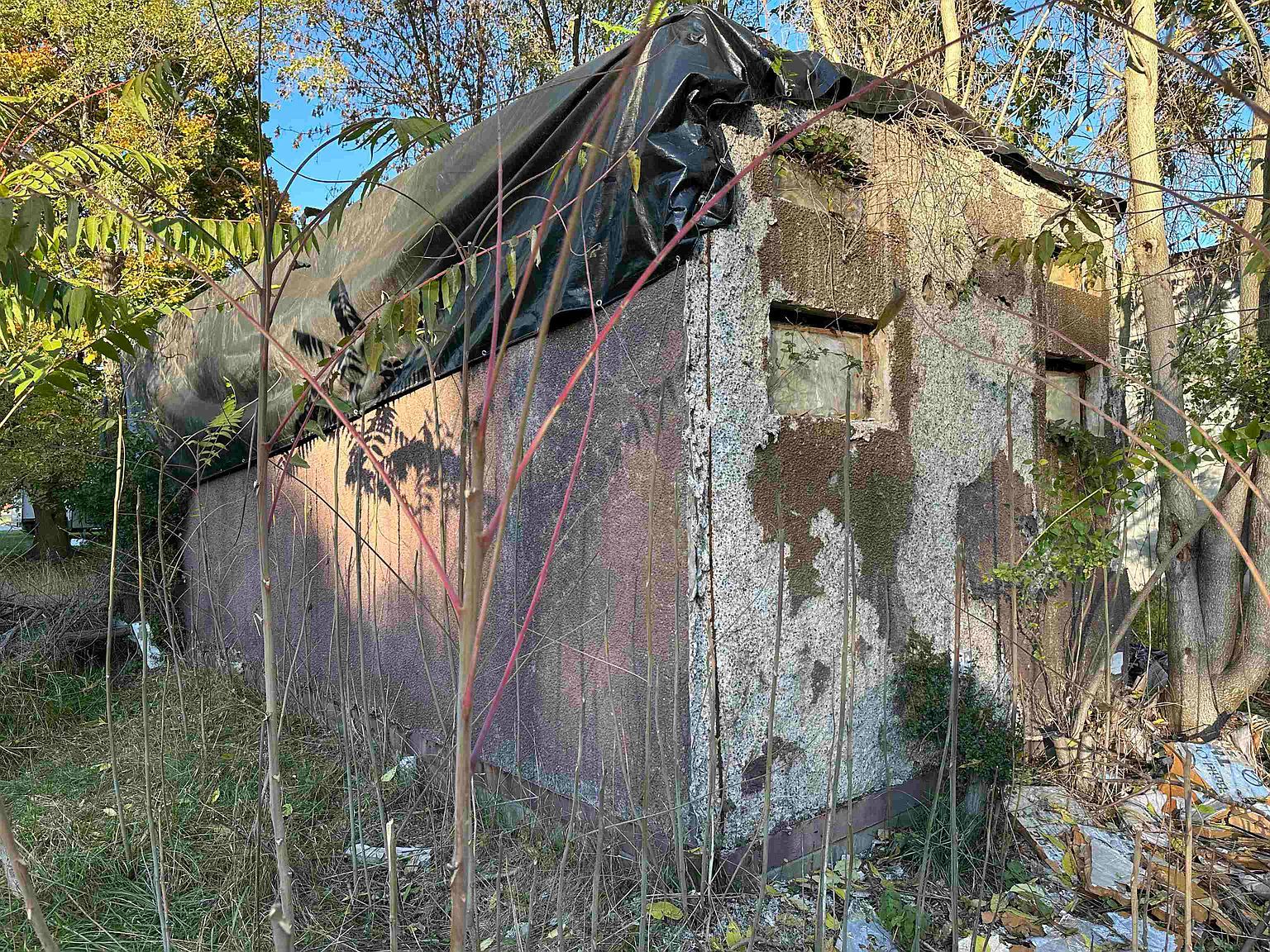 228.5 E Center St Alma, MI 48801 - Thumbnail 5