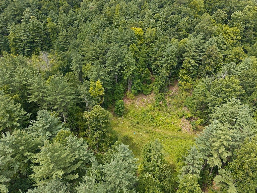 0 Poags Hole Rd #55 Dansville, NY 14437 - Thumbnail 5