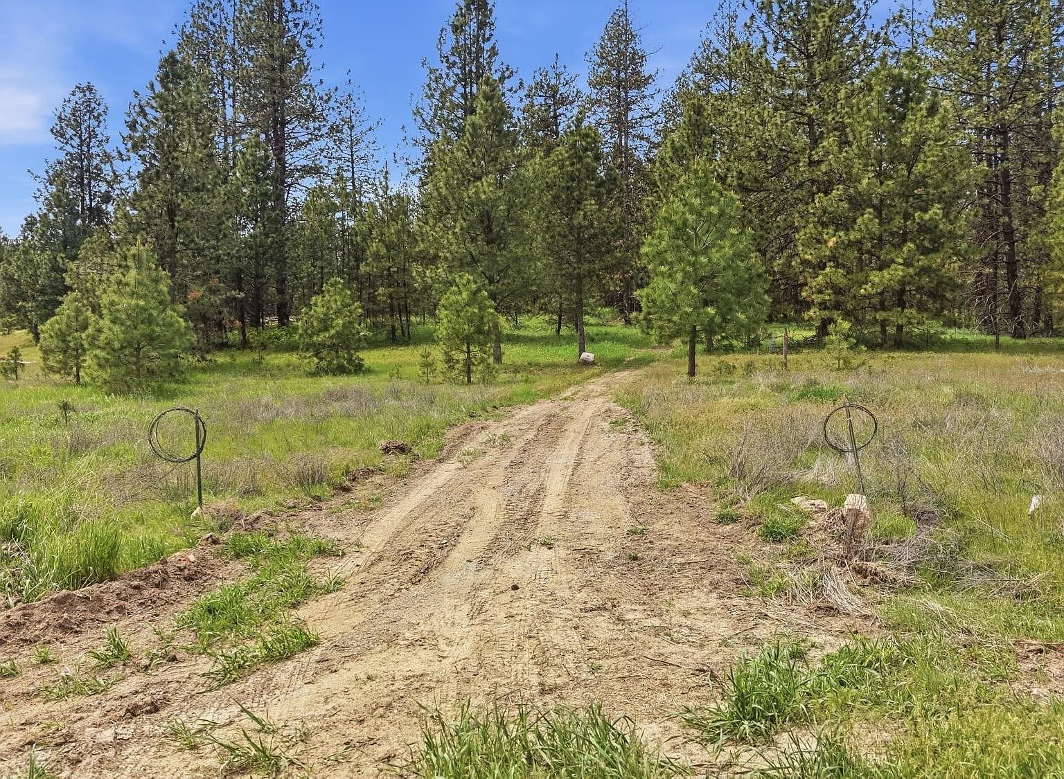 55XX Rocky Top Way Deer Park, WA 99006 - Thumbnail 5