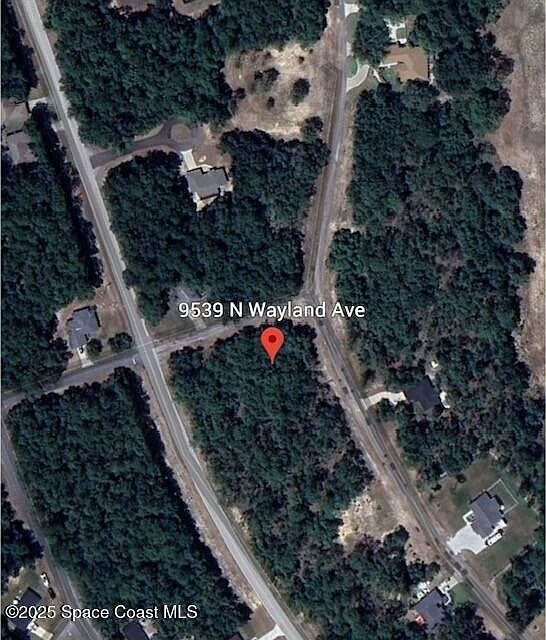 9539 N Wayland Ave Citrus Springs, FL 34434 - Thumbnail 5