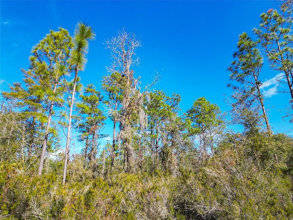 NE 58th St #20 Bronson, FL 32621 - Thumbnail 5