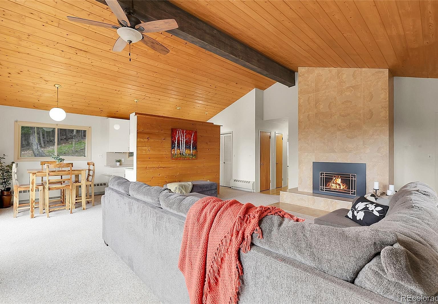 29958 Conifer Mountain Dr Conifer, CO 80433 - Thumbnail 5