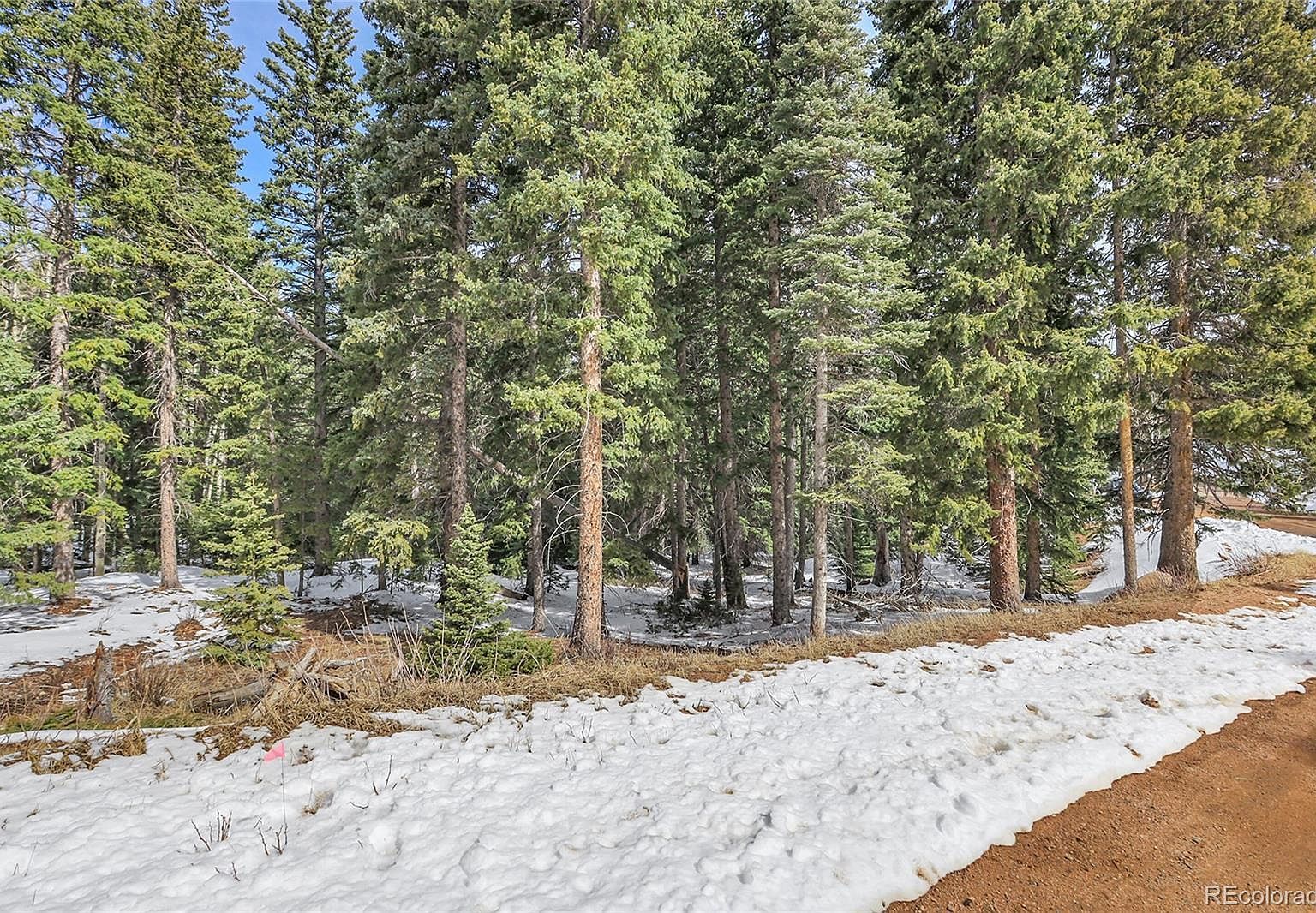 10549 Christopher Dr #36 Conifer, CO 80433 - Thumbnail 5