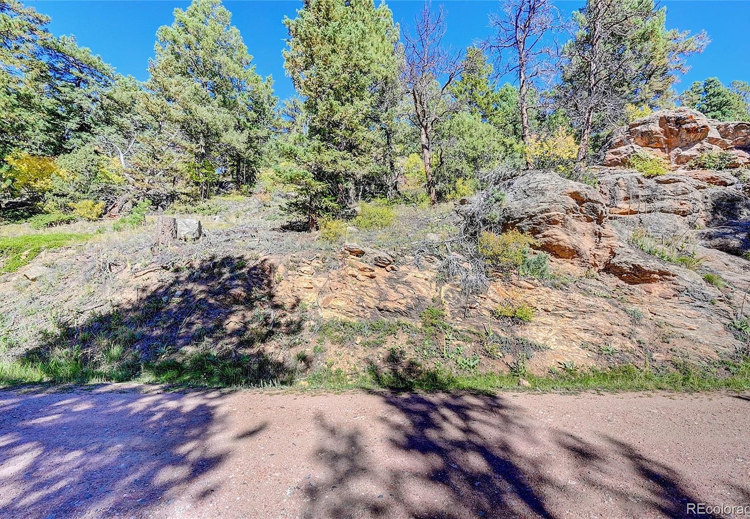 11723 Braun Way Conifer, CO 80433 - Thumbnail 5