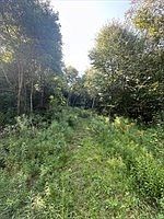 4 Brimfield Rd Warren, MA 01083 - Thumbnail 5