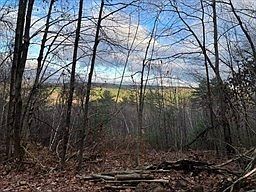 LOT 1 One Brimfield Rd Warren, MA 01083 - Thumbnail 5