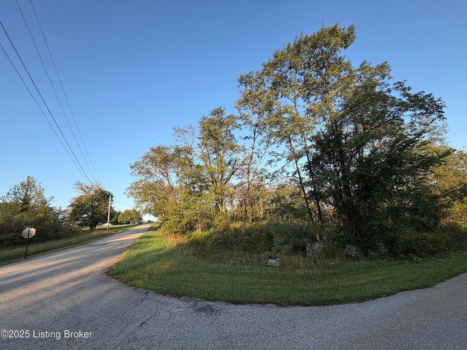 28 Freesia Ct Brandenburg, KY 40108 - Thumbnail 5