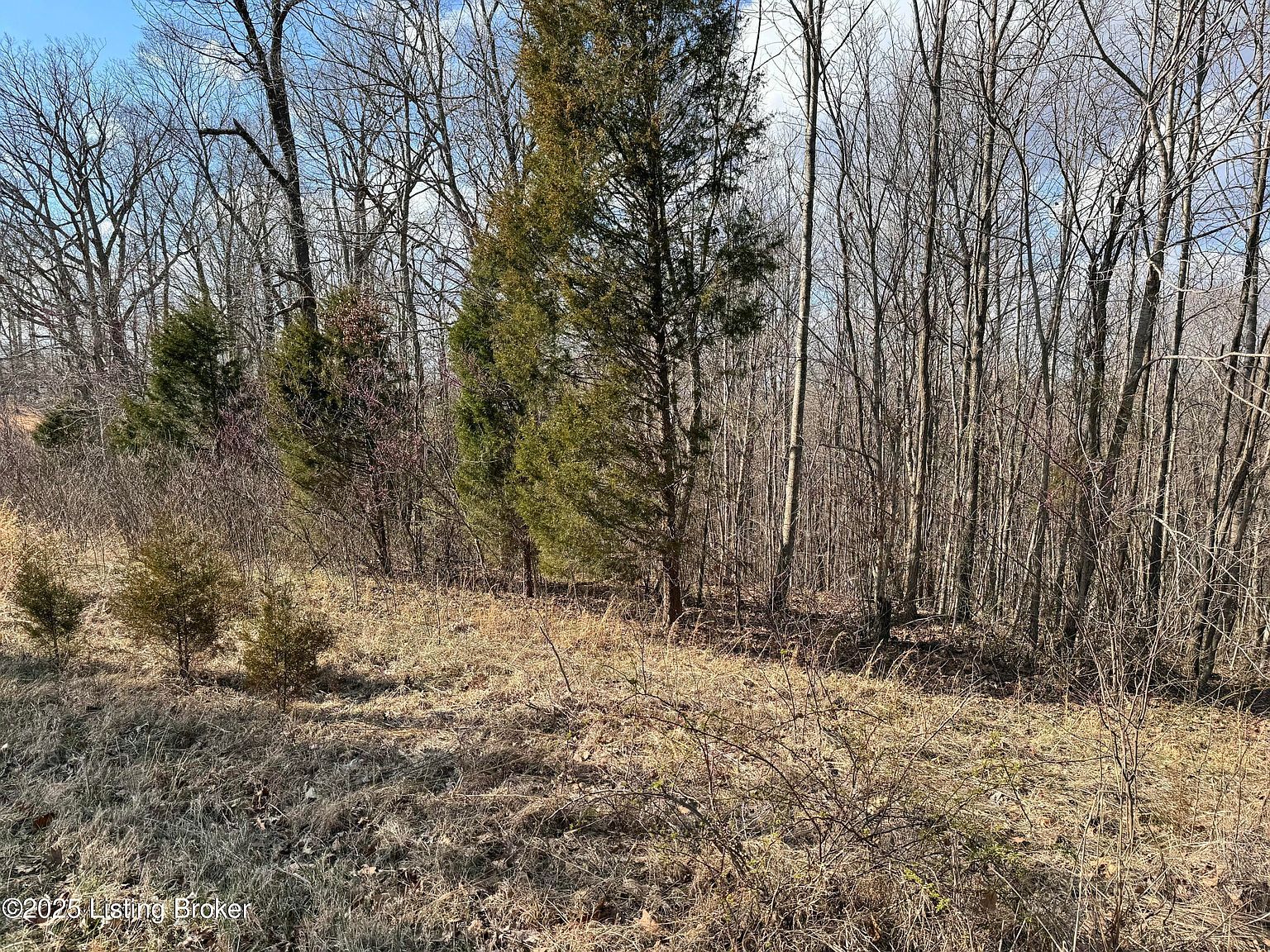 0 Cedar Flats Rd Battletown, KY 40104 - Thumbnail 5